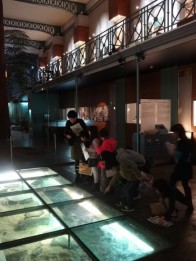 2015Dec kougai gakushu3