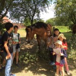 201806遠足小学部・中学部3